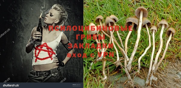 PSILOCYBIN Верхнеуральск