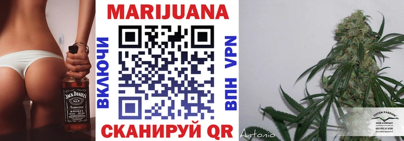 кракен зеркало  Брюховецкая  Бошки марихуана OG Kush 